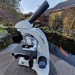 De Koidokter - Maarten Lammens